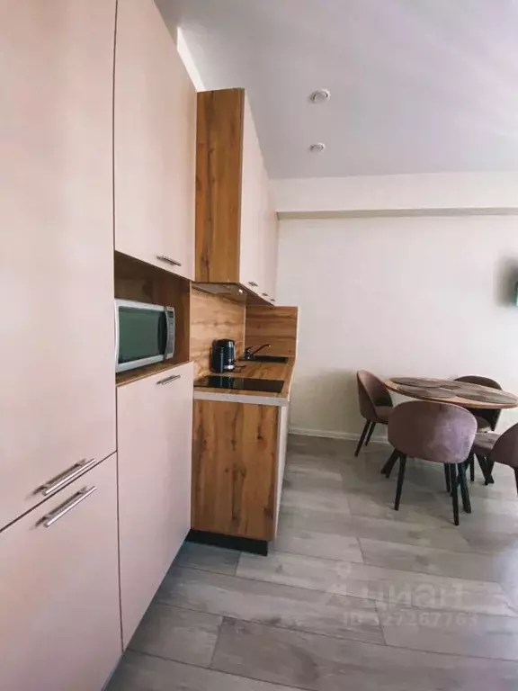 Студия Краснодарский край, Сочи городской округ, Дагомыс пгт ул. ... - Фото 1