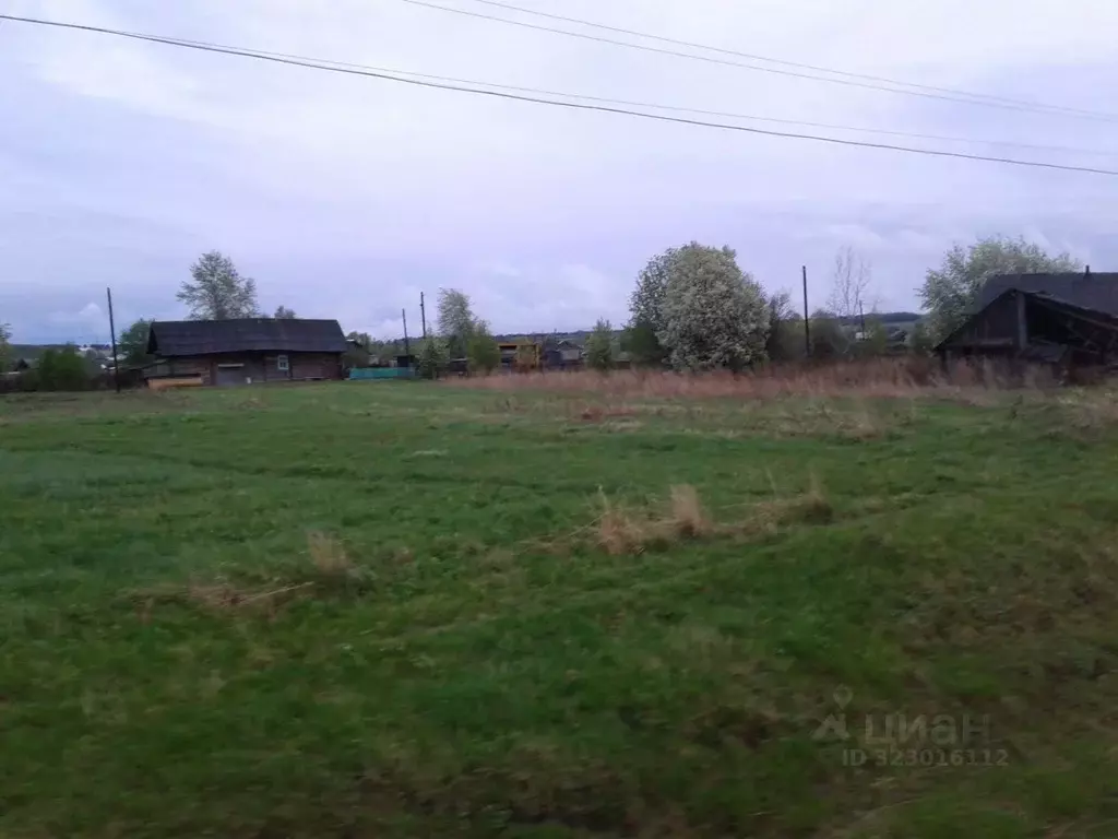 Участок в Пермский край, Карагайский муниципальный округ, с. ... - Фото 0