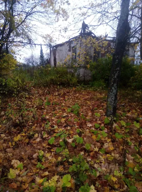 Участок в Ивановская область, Приволжский район, Плесское городское ... - Фото 1
