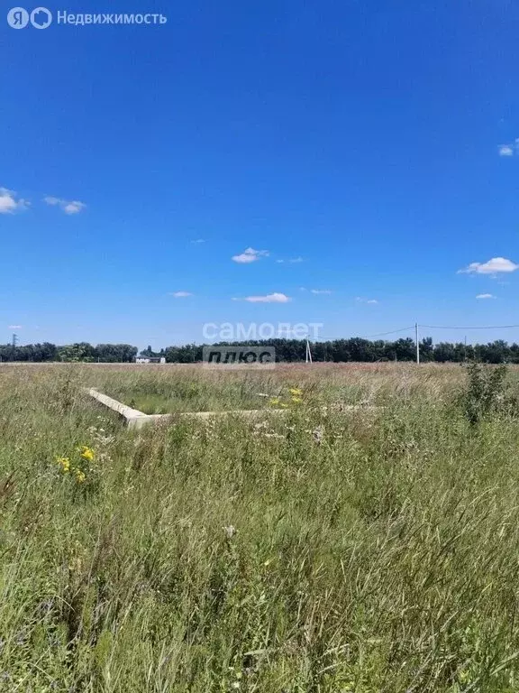 Участок в село Ленино, улица Ясная (12 м) - Фото 2