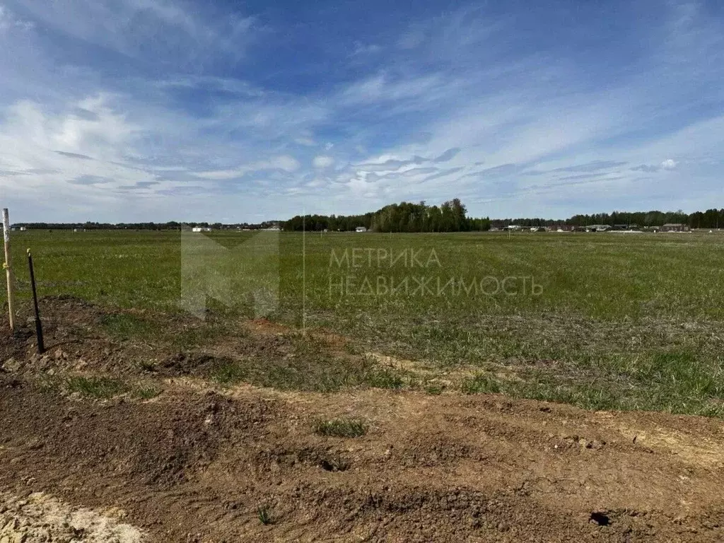 Участок в Тюменская область, Тюменский район, Новокаменский кп  (7.13 ... - Фото 1