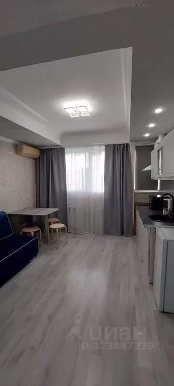 1-к кв. Краснодарский край, Сочи Пластунская ул., 73/1 (23.0 м) - Фото 1