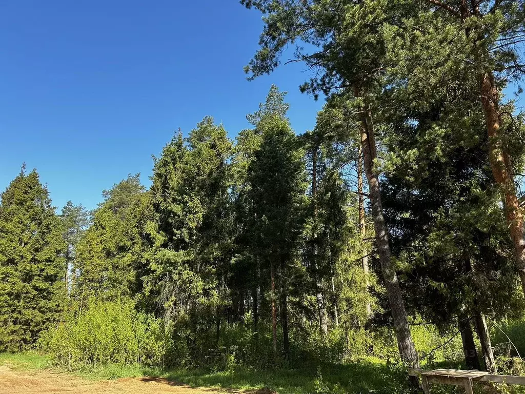 Коттедж в Московская область, Пушкинский городской округ, с. Левково  ... - Фото 0