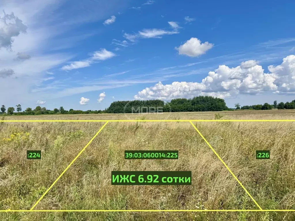 Участок в Калининградская область, Гурьевский муниципальный округ, ... - Фото 2