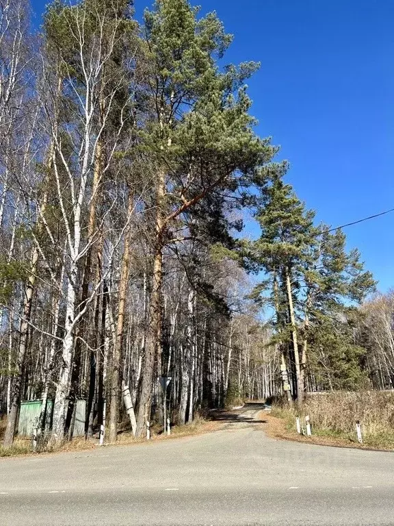 Участок в Свердловская область, Белоярский городской округ, пос. ... - Фото 1