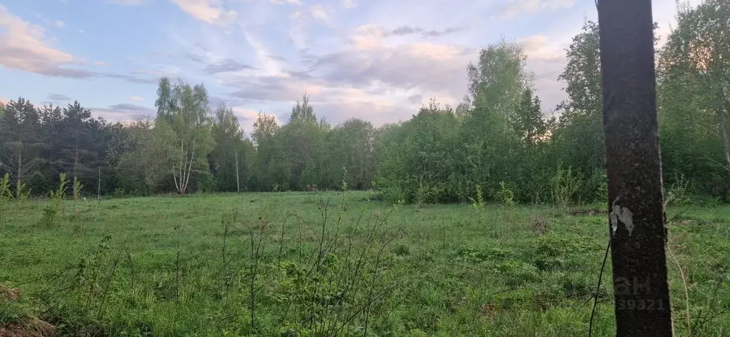 Участок в Тверская область, Конаковский муниципальный округ, д. ... - Фото 2