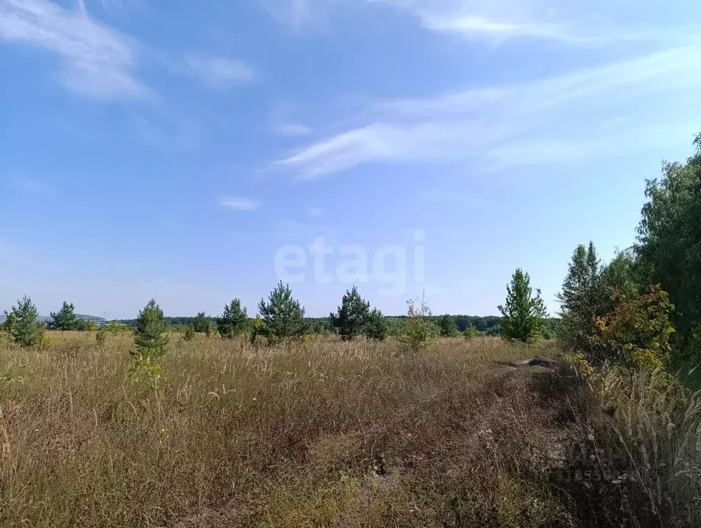 Участок в Воронежская область, с. Новая Усмань ул. Фрунзе, 29 (100.0 ... - Фото 1