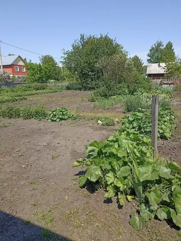 Участок в Тюменская область, Заводоуковск Раздолье СНТ,  (15.0 сот.) - Фото 1