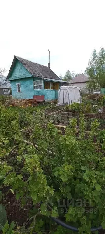 Дом в Вологодская область, Вологда Поляна садоводческое товарищество, ... - Фото 1