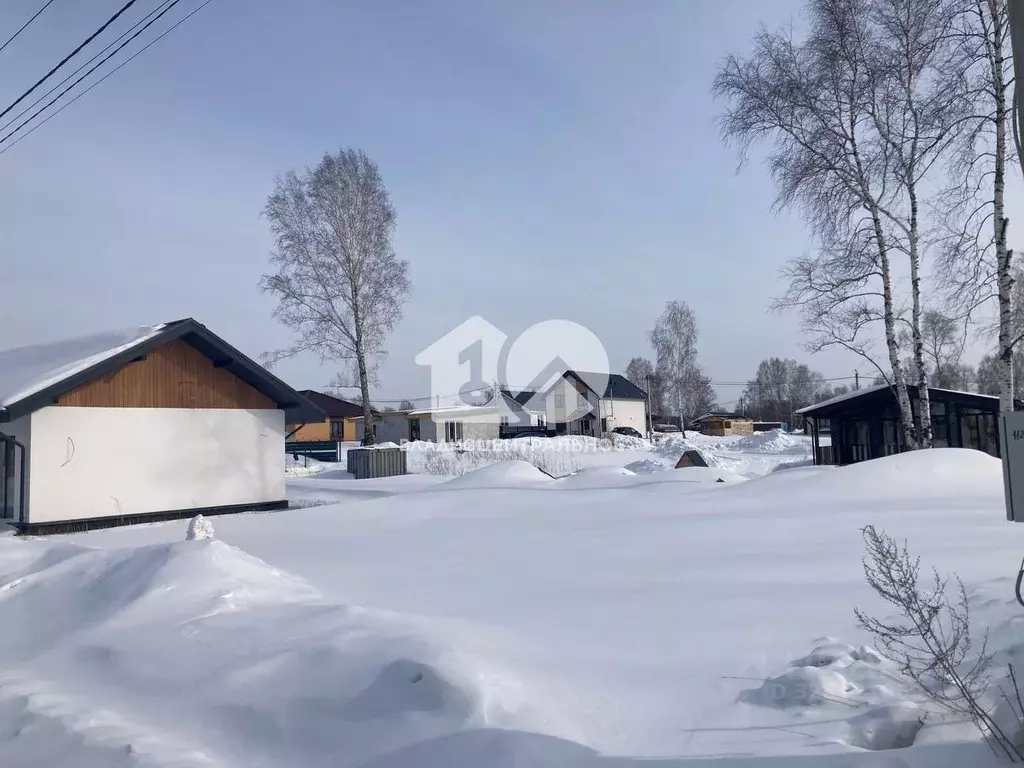 Участок в Новосибирская область, Новосибирский район, Каменский ... - Фото 1