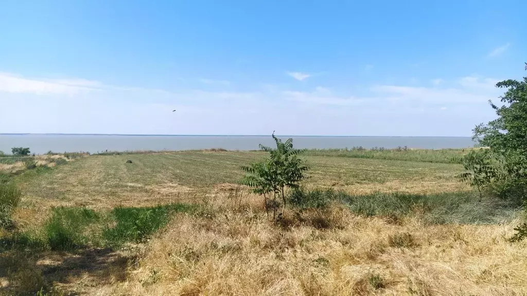 Участок в Краснодарский край, Щербиновский район, с. Николаевка ул. ... - Фото 1