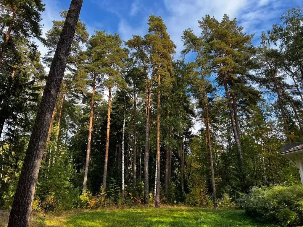 Участок в Санкт-Петербург пос. Репино, Новодеревенская ул. (12.0 сот.) - Фото 0