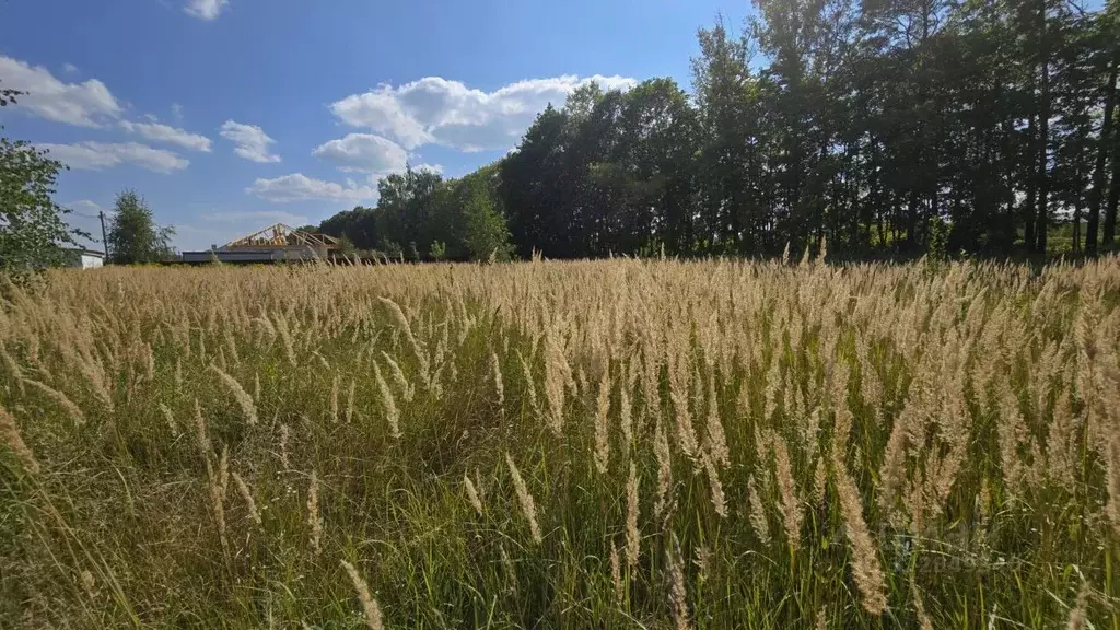 Участок в Московская область, Воскресенск городской округ, с. ... - Фото 1