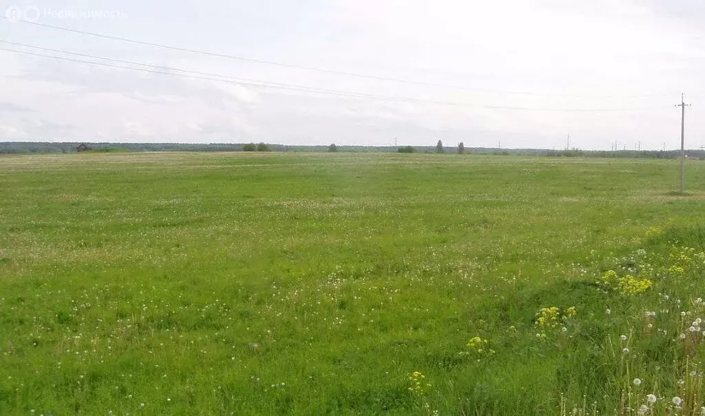 Участок в Оренбург, улица Астронавтов (15 м) - Фото 1