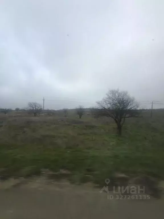 Участок в Крым, Ленинский район, Глазовское с/пос, с. Осовины ул. ... - Фото 1