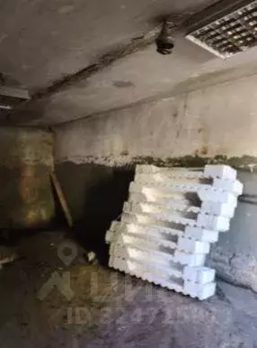 Гараж в Кировская область, Кильмезь пгт ул. Мельникова, 17 (23 м) - Фото 2