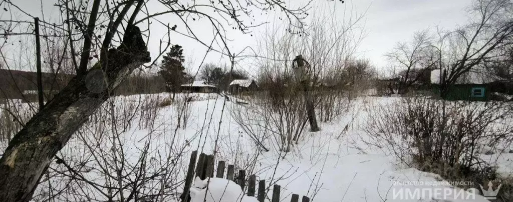 Участок в Амурская область, Благовещенск Снегирь СТ,  (6.0 сот.) - Фото 1