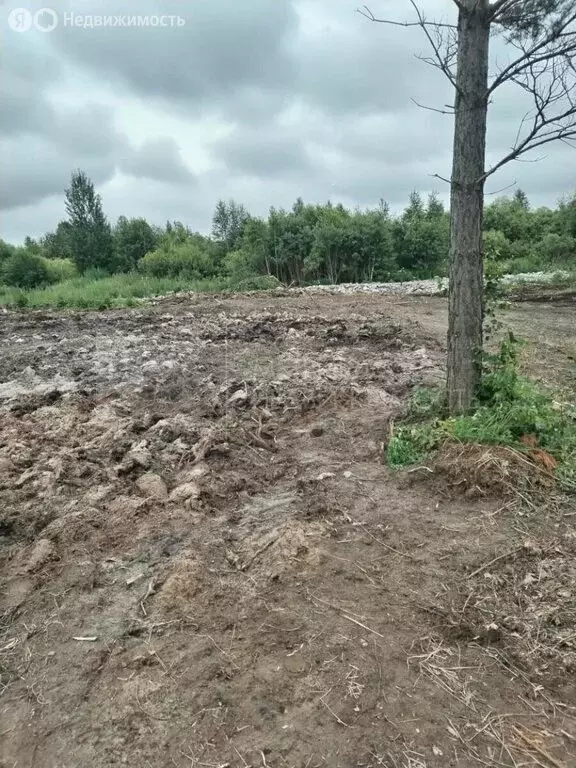 Участок в Нижнетавдинский район, СТ Здоровье-3, 2-я улица (10 м) - Фото 1