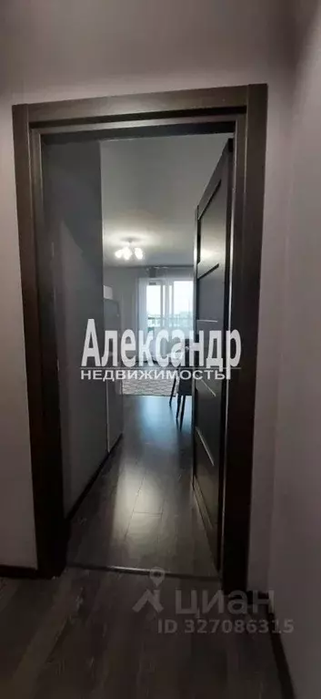 Студия Санкт-Петербург просп. Ветеранов, 181 (25.0 м) - Фото 2