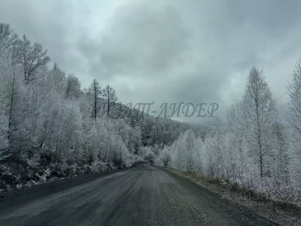 Участок в Алтай, Шебалинский район, с. Малая Черга  (80.0 сот.) - Фото 2
