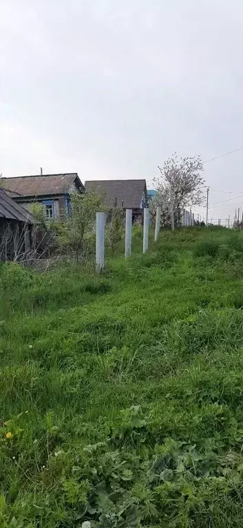 Участок в Ульяновская область, Старомайнский муниципальный округ, с. ... - Фото 2