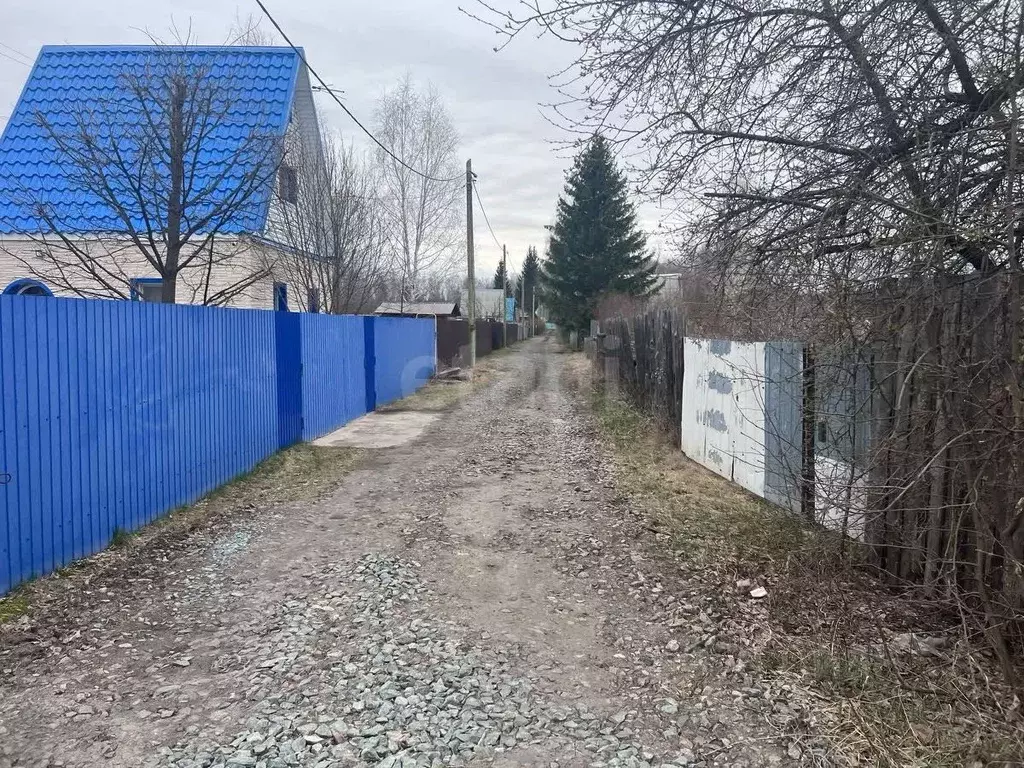 Участок в Курганская область, Кетовский муниципальный округ, Иволга-24 ... - Фото 1