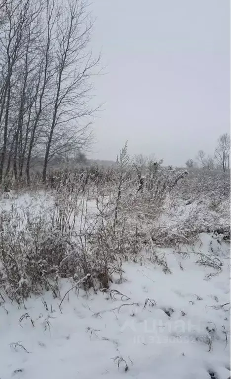 Участок в Московская область, Ступино городской округ, д. Родоманово  ... - Фото 1