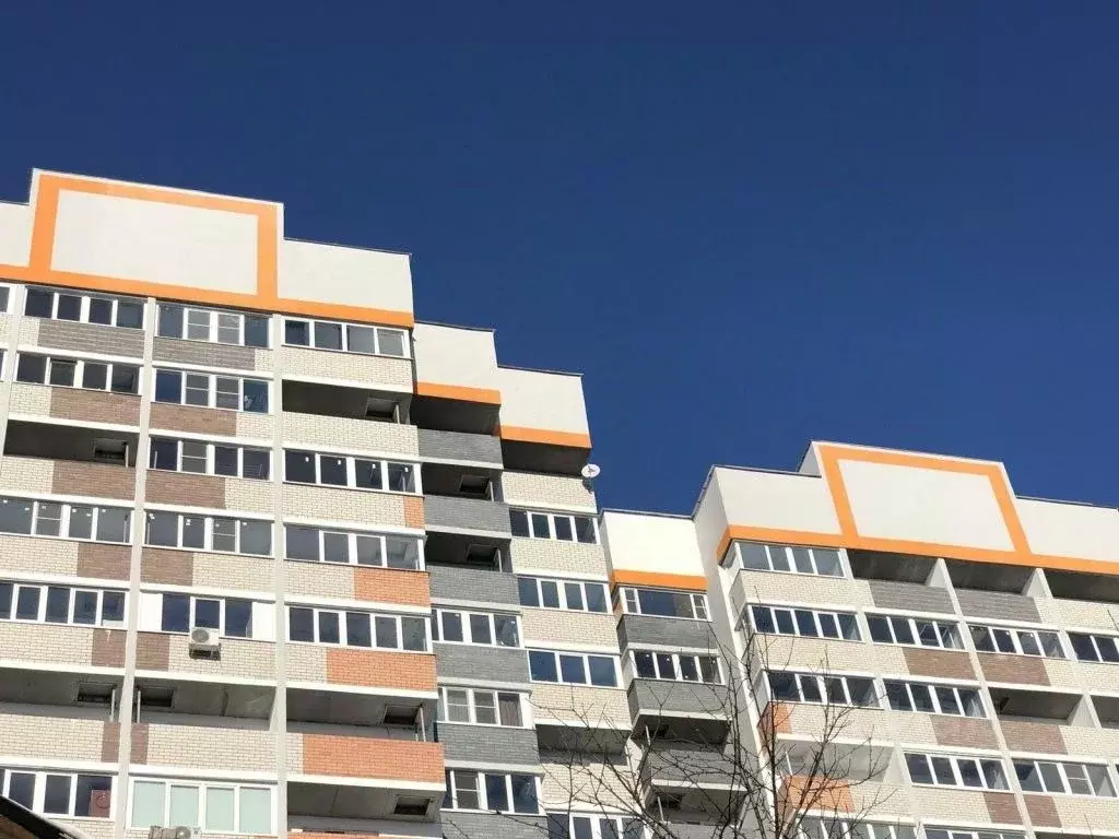 1-к кв. Владимирская область, Владимир ул. Фейгина, 22 (30.0 м) - Фото 0