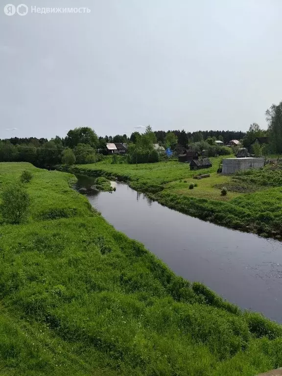 Участок в Ленинградская область, Гатчинский муниципальный округ, ... - Фото 1