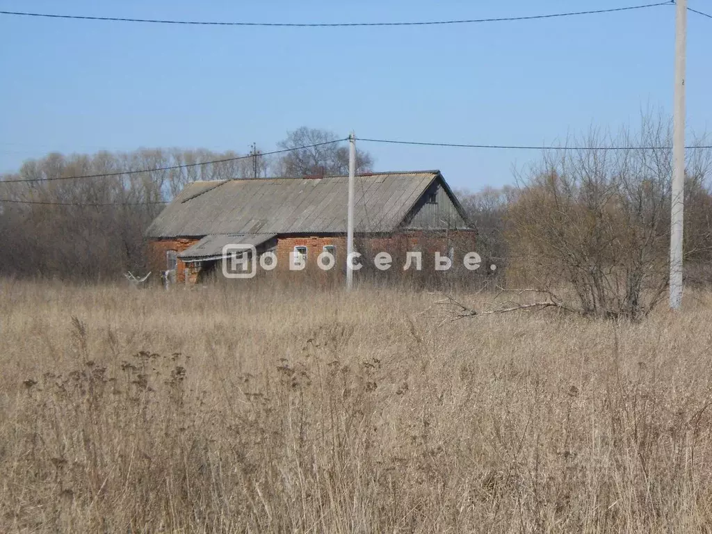 Дом в Рязанская область, Пронский район, Малинищинское с/пос, с. ... - Фото 1