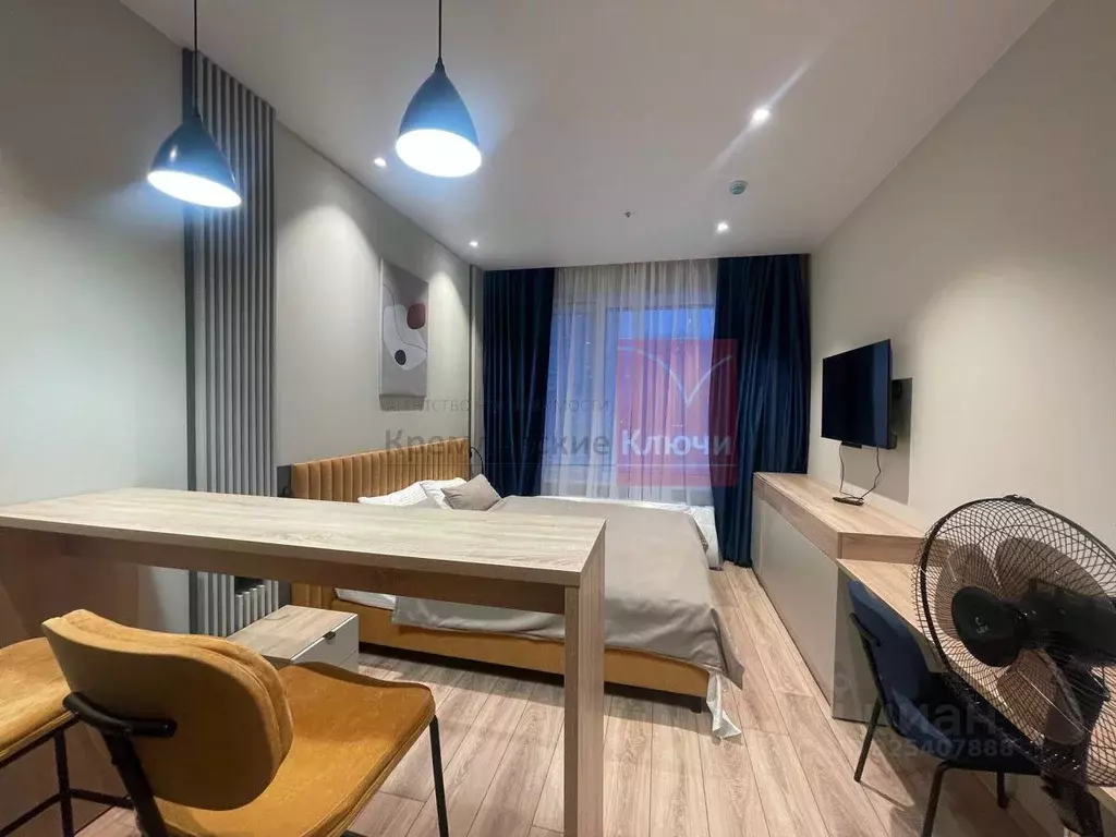 Студия Санкт-Петербург просп. Энергетиков, 8к2 (24.0 м) - Фото 2