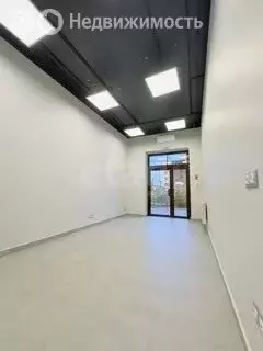 Помещение свободного назначения (23.9 м) - Фото 1