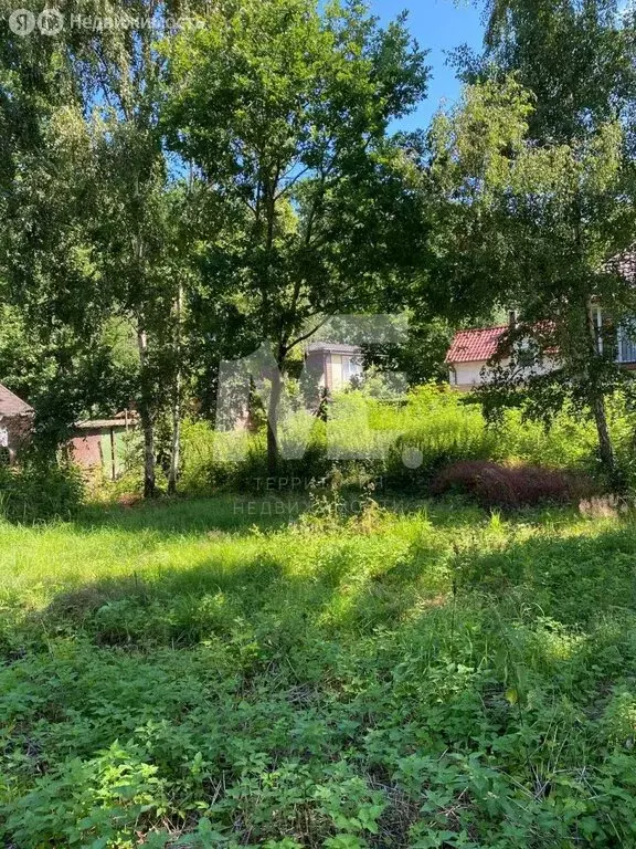 Участок в Калининградская область, Зеленоградский муниципальный округ, ... - Фото 1