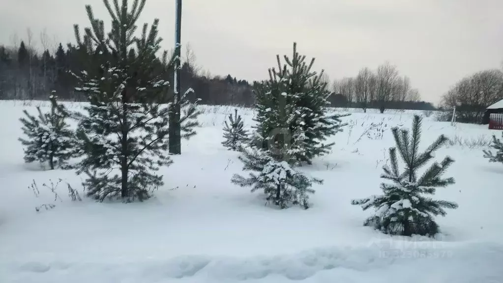 Участок в Вологодская область, Вологодский муниципальный округ, пос. ... - Фото 1