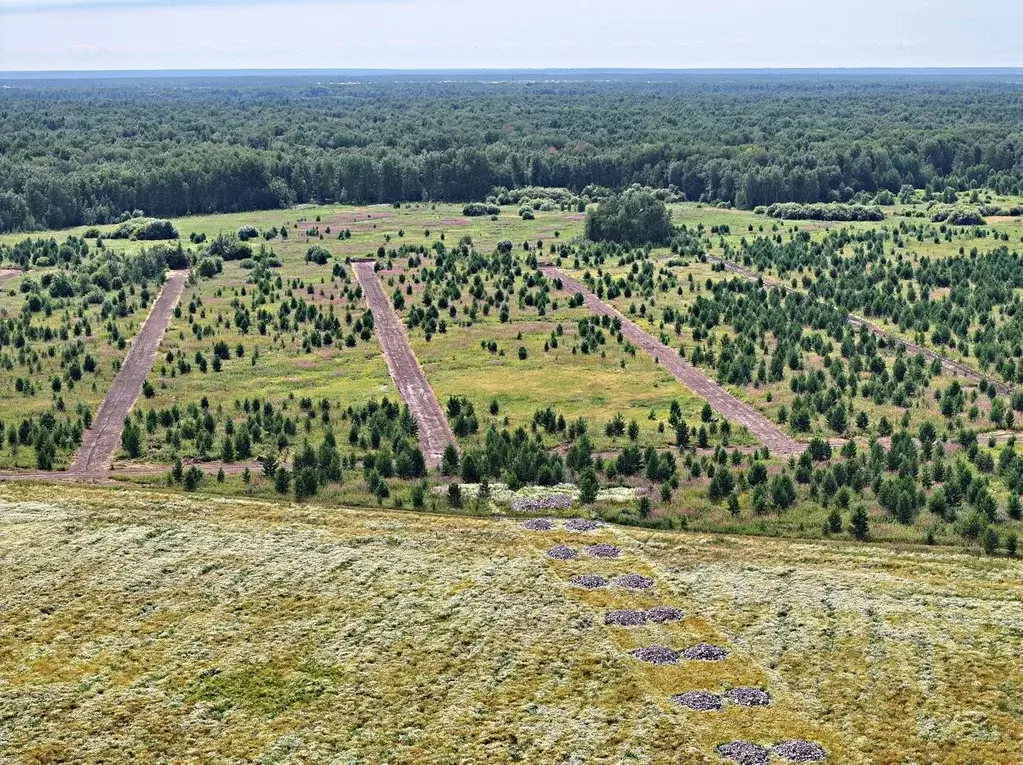 Участок в Тюменская область, Тюменский район, Новокаменский кп ул. ... - Фото 1