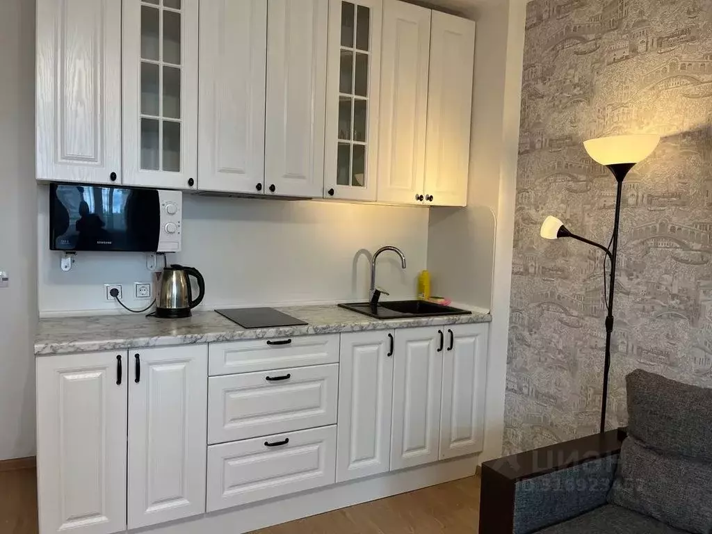 Студия Санкт-Петербург просп. Энергетиков, 11к2 (27.0 м) - Фото 1