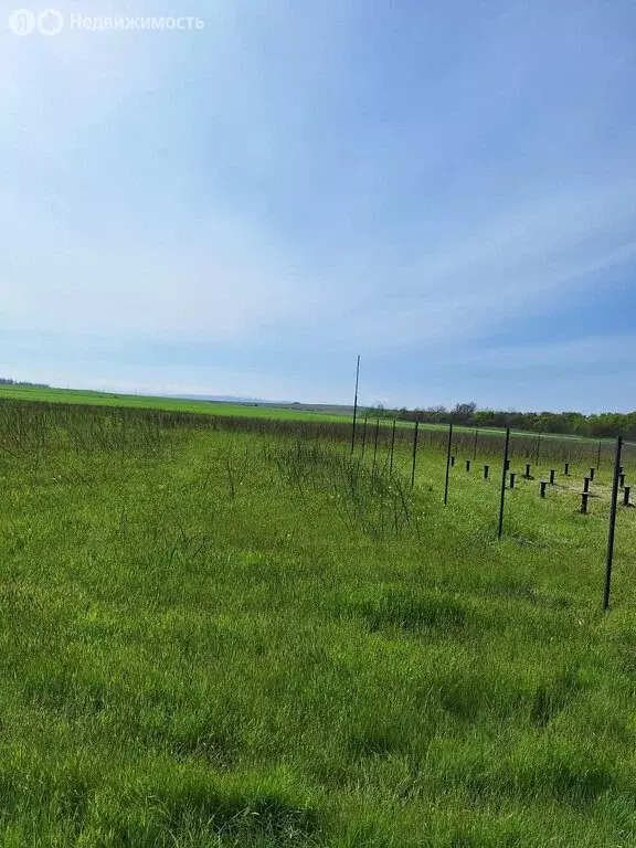 Участок в Краснодарский край, муниципальное образование Анапа, село ... - Фото 0