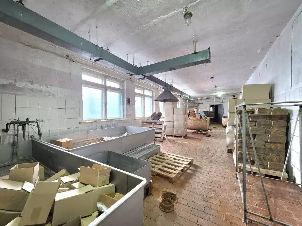 Склад в Калужская область, Тарусский муниципальный округ, с. ... - Фото 1