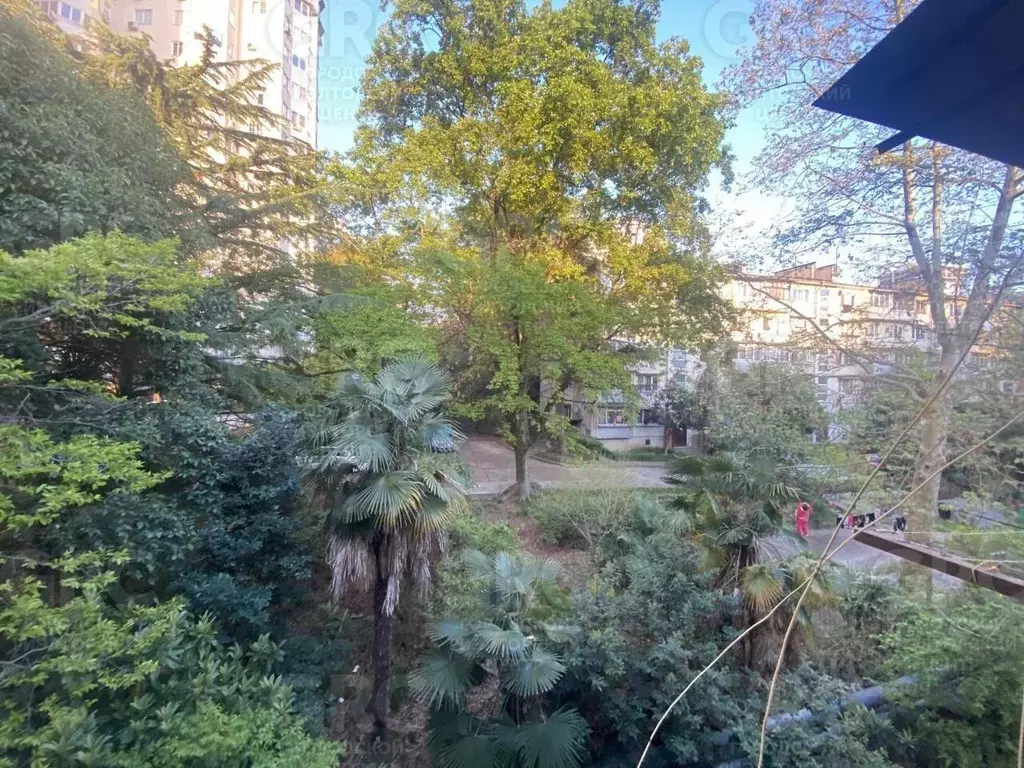 1-к кв. Краснодарский край, Сочи Завокзальный мкр, ул. Невская, 10 ... - Фото 1