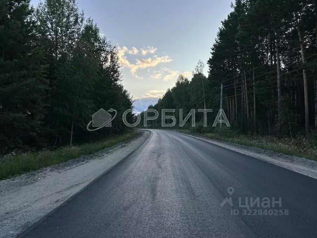 Участок в Тюменская область, Нижнетавдинский муниципальный округ, ... - Фото 1