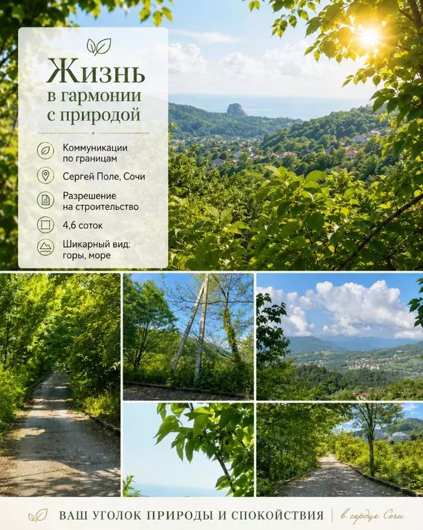 Участок в Краснодарский край, Сочи городской округ, с. Сергей-Поле ... - Фото 1