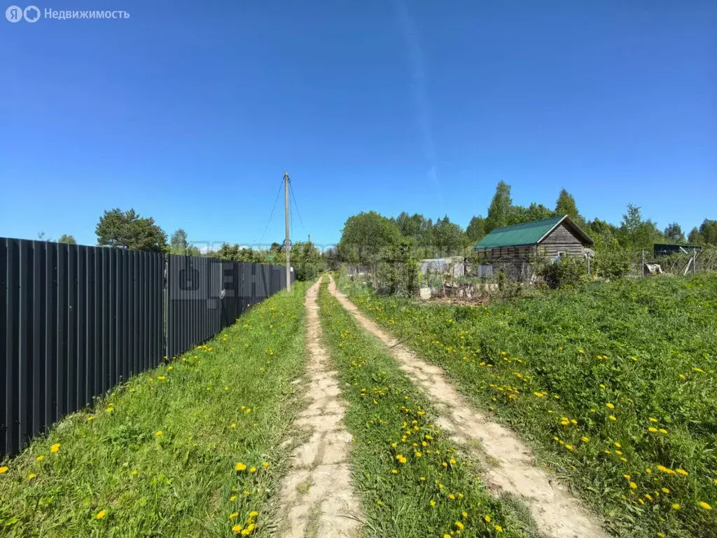 Участок в Смоленский муниципальный округ, деревня Алексино, садовое ... - Фото 0