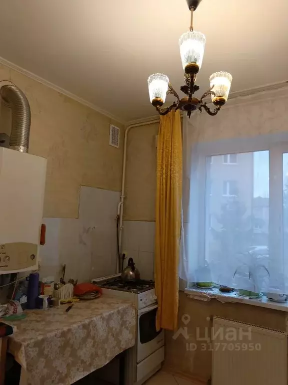1-к кв. Калининградская область, Гурьевский муниципальный округ, пос. ... - Фото 1