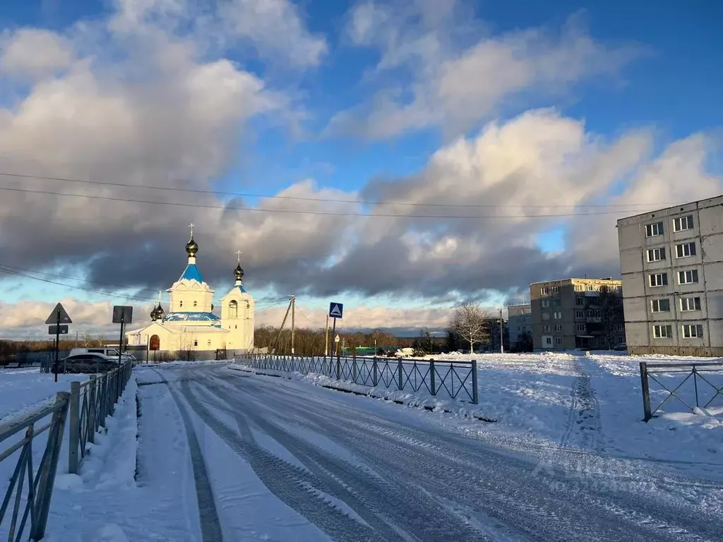 Участок в Ленинградская область, Ломоносовский район, Оржицкое с/пос, ... - Фото 1