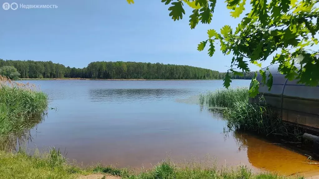 Участок в Конаково, садоводческое некоммерческое товарищество ... - Фото 1
