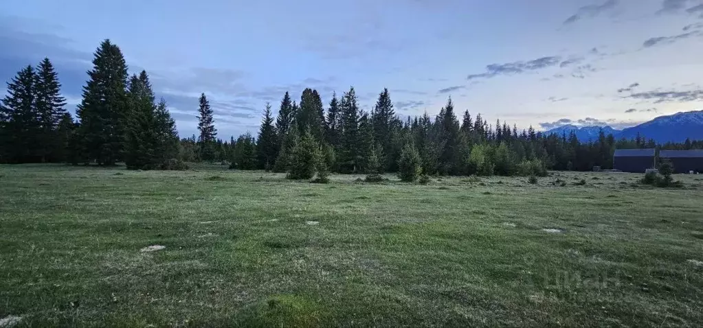 Участок в Бурятия, Тункинский район, Хурай-Хобок у.  (12.0 сот.) - Фото 0