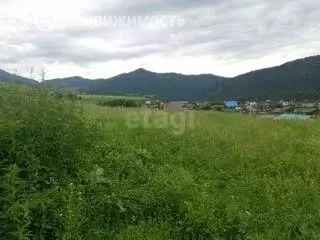 Участок в село Камлак, Набережная улица (15 м) - Фото 1