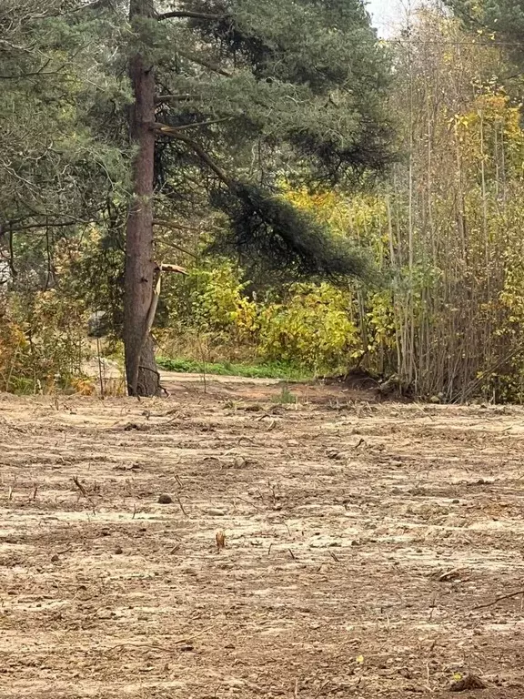 Участок в Ленинградская область, Выборгский район, Рощино пгт ул. ... - Фото 2