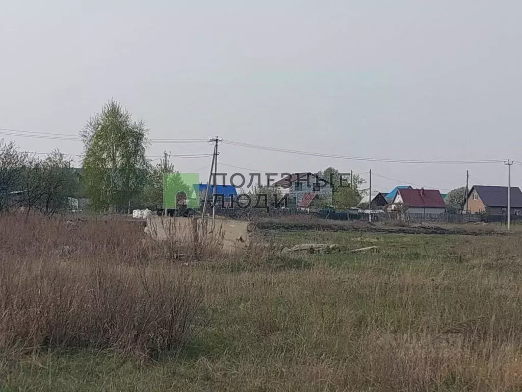 Участок в Курганская область, Курган  (250.0 сот.) - Фото 2