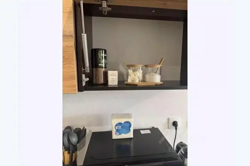 1-к кв. Московская область, Одинцово Одинцово-1 жилой комплекс, к1.23 ... - Фото 2